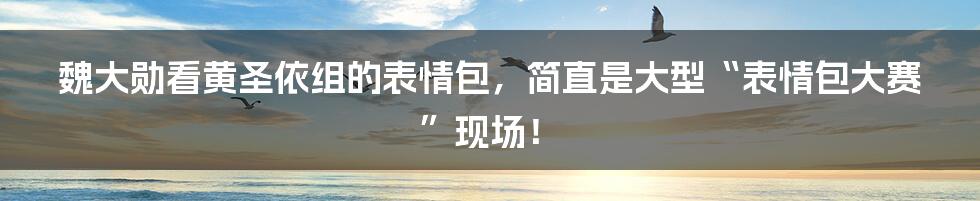 魏大勋看黄圣依组的表情包，简直是大型“表情包大赛”现场！