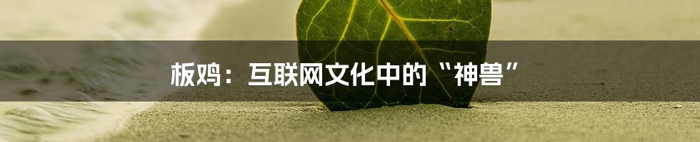 板鸡：互联网文化中的“神兽”