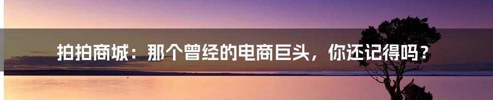 拍拍商城：那个曾经的电商巨头，你还记得吗？