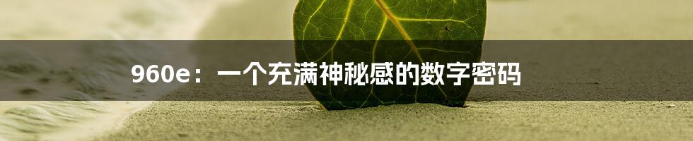 960e：一个充满神秘感的数字密码