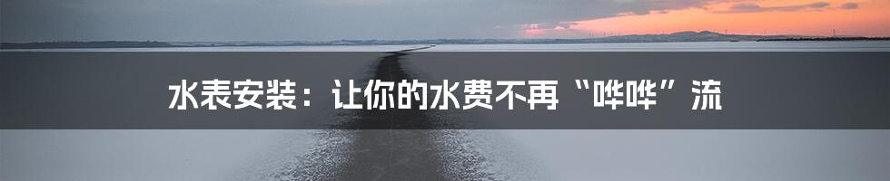 水表安装：让你的水费不再“哗哗”流