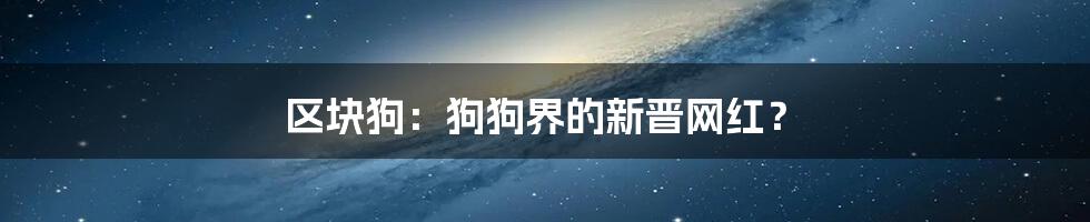 区块狗：狗狗界的新晋网红？