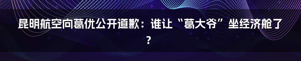 昆明航空向葛优公开道歉：谁让“葛大爷”坐经济舱了？