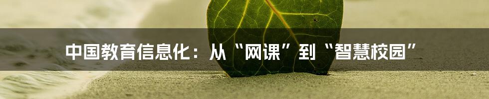 中国教育信息化：从“网课”到“智慧校园”