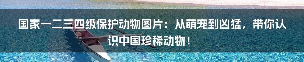 国家一二三四级保护动物图片：从萌宠到凶猛，带你认识中国珍稀动物！