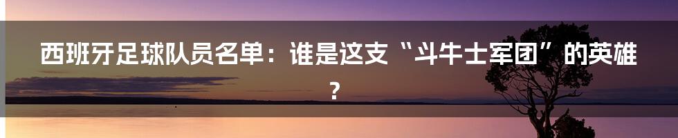 西班牙足球队员名单：谁是这支“斗牛士军团”的英雄？