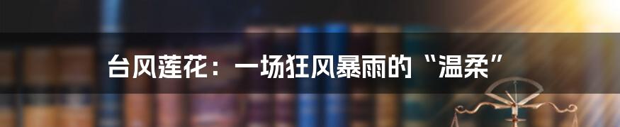 台风莲花：一场狂风暴雨的“温柔”