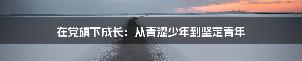 在党旗下成长：从青涩少年到坚定青年