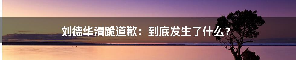 刘德华滑跪道歉：到底发生了什么？