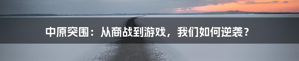 中原突围：从商战到游戏，我们如何逆袭？