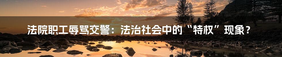 法院职工辱骂交警：法治社会中的“特权”现象？