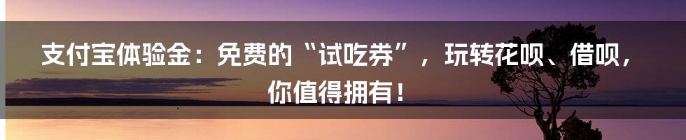 支付宝体验金：免费的“试吃券”，玩转花呗、借呗，你值得拥有！