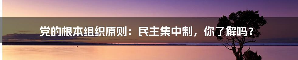 党的根本组织原则：民主集中制，你了解吗？