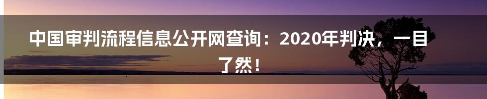 中国审判流程信息公开网查询：2020年判决，一目了然！