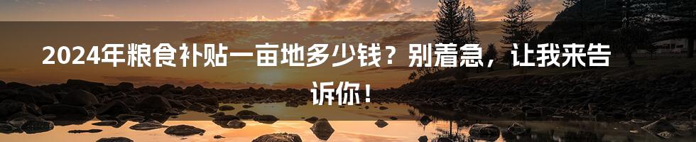 2024年粮食补贴一亩地多少钱？别着急，让我来告诉你！