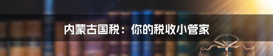 内蒙古国税：你的税收小管家