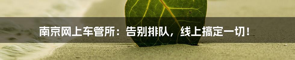 南京网上车管所：告别排队，线上搞定一切！