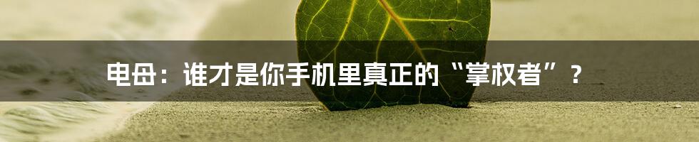 电母：谁才是你手机里真正的“掌权者”？