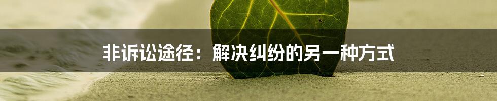 非诉讼途径：解决纠纷的另一种方式