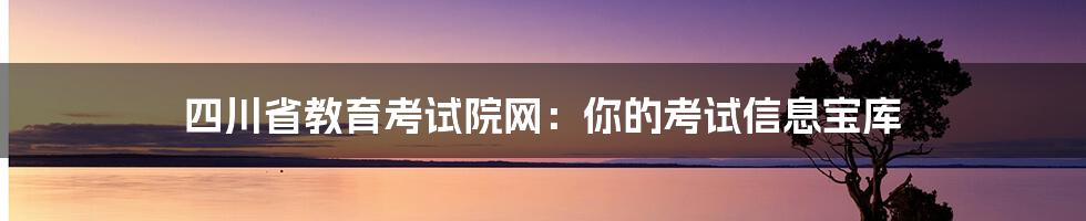 四川省教育考试院网：你的考试信息宝库