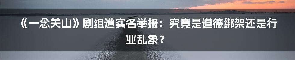 《一念关山》剧组遭实名举报：究竟是道德绑架还是行业乱象？