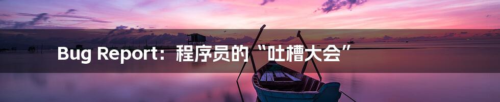 Bug Report：程序员的“吐槽大会”