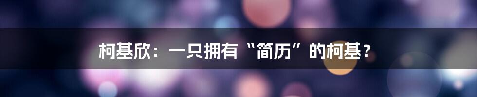 柯基欣：一只拥有“简历”的柯基？