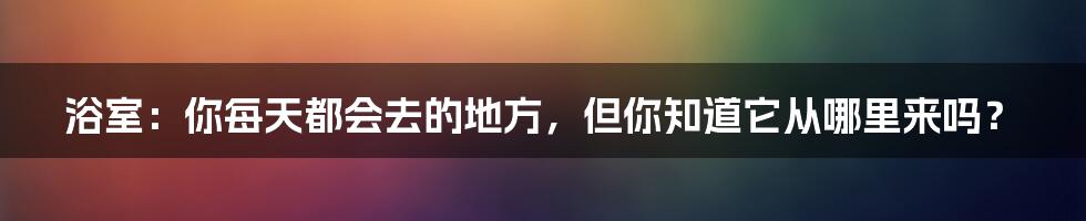 浴室：你每天都会去的地方，但你知道它从哪里来吗？