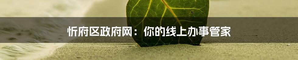 忻府区政府网：你的线上办事管家