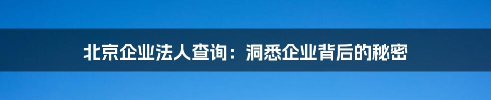 北京企业法人查询：洞悉企业背后的秘密