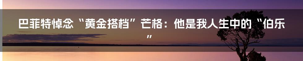 巴菲特悼念“黄金搭档”芒格：他是我人生中的“伯乐”