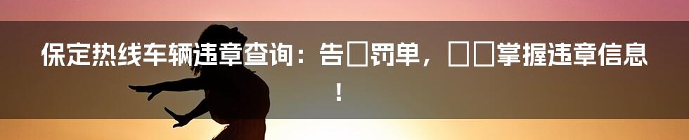 保定热线车辆违章查询：告別罚单，輕鬆掌握违章信息！