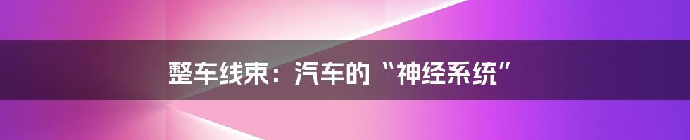 整车线束：汽车的“神经系统”