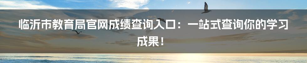 临沂市教育局官网成绩查询入口：一站式查询你的学习成果！