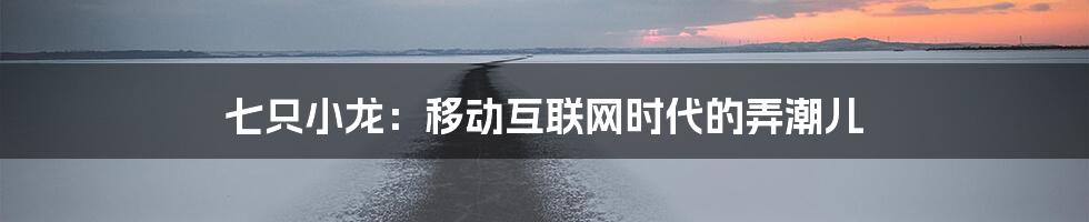 七只小龙：移动互联网时代的弄潮儿