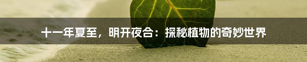 十一年夏至，明开夜合：探秘植物的奇妙世界