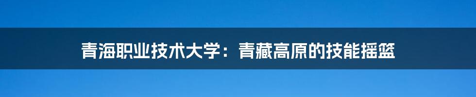 青海职业技术大学：青藏高原的技能摇篮