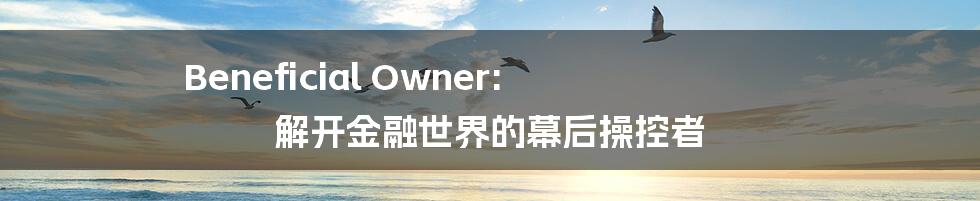 Beneficial Owner: 解开金融世界的幕后操控者