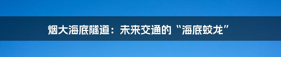 烟大海底隧道：未来交通的“海底蛟龙”