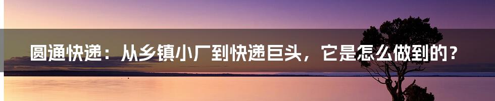 圆通快递：从乡镇小厂到快递巨头，它是怎么做到的？