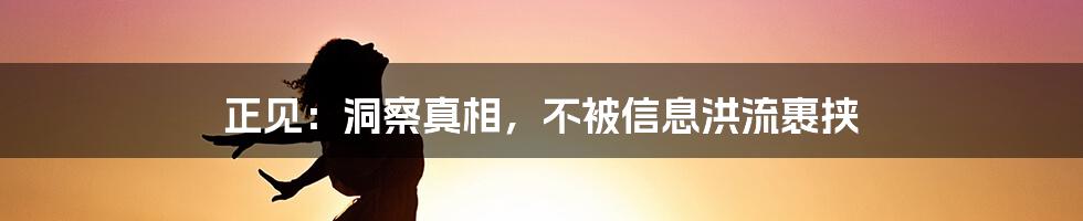 正见：洞察真相，不被信息洪流裹挟