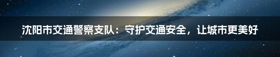 沈阳市交通警察支队：守护交通安全，让城市更美好