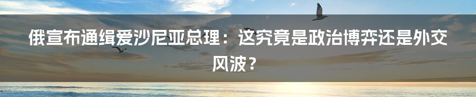 俄宣布通缉爱沙尼亚总理：这究竟是政治博弈还是外交风波？