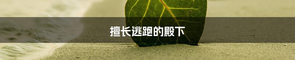 擅长逃跑的殿下