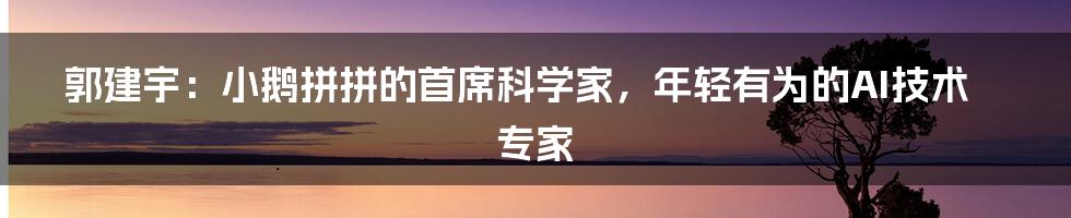 郭建宇：小鹅拼拼的首席科学家，年轻有为的AI技术专家