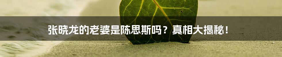 张晓龙的老婆是陈思斯吗？真相大揭秘！