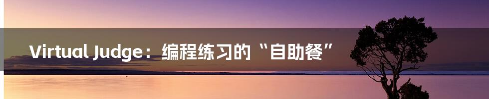 Virtual Judge：编程练习的“自助餐”