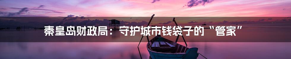 秦皇岛财政局：守护城市钱袋子的“管家”