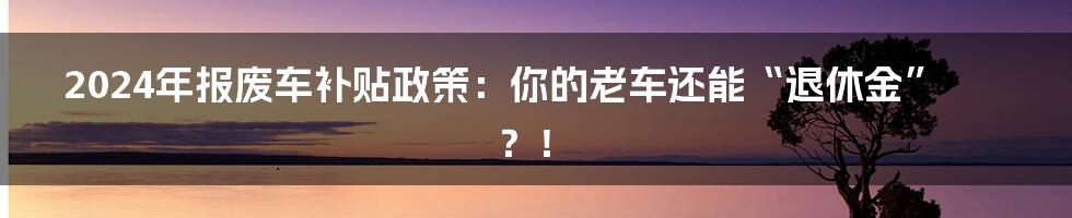 2024年报废车补贴政策：你的老车还能“退休金”？！