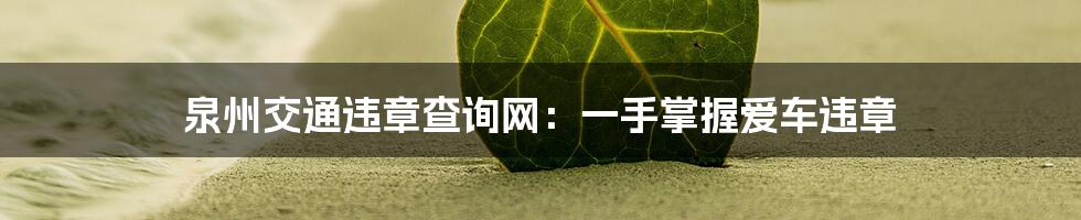 泉州交通违章查询网：一手掌握爱车违章